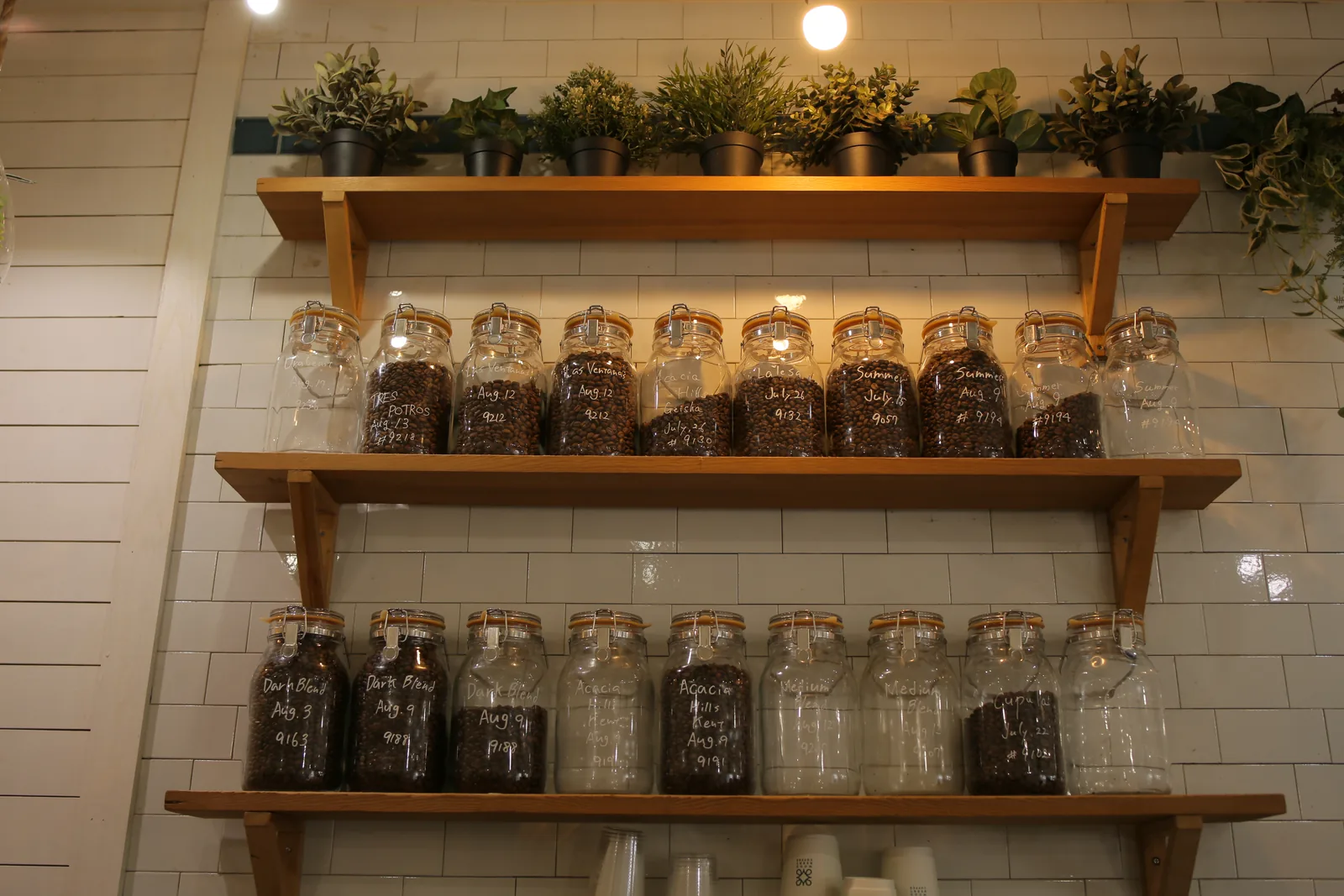 WOODBERRY COFFEE 代官山店（7枚目）